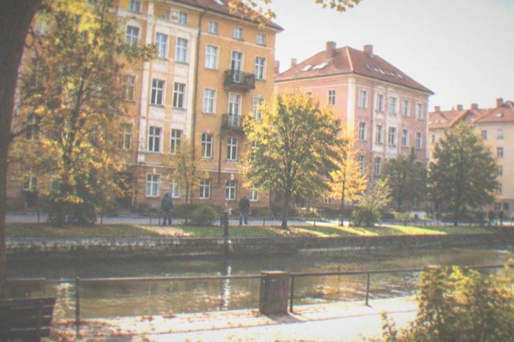 Apartment blocks and green courtyards in a residential Timisoara district in autumn light