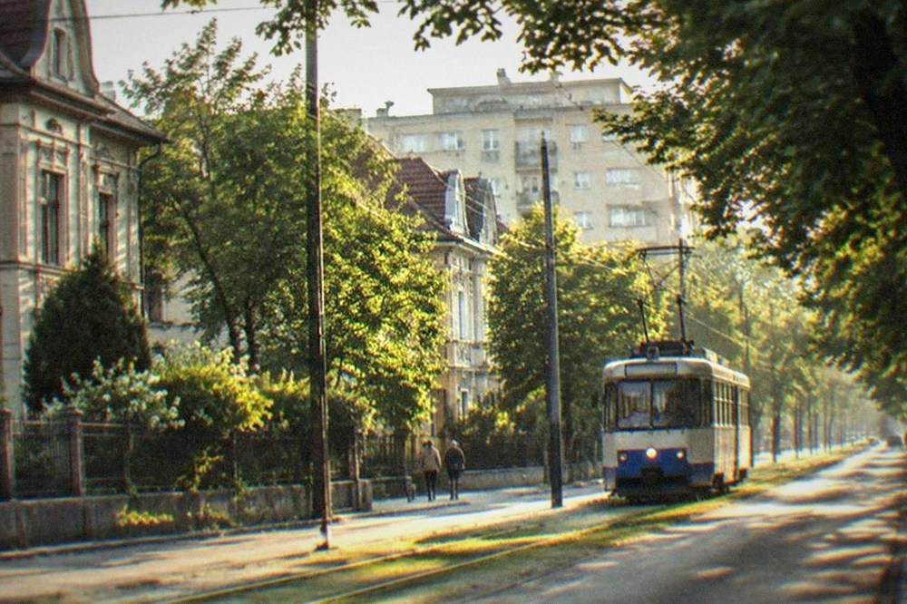 A tram moving along a tree-lined boulevard at the edge of Elisabetin with apartment blocks behind