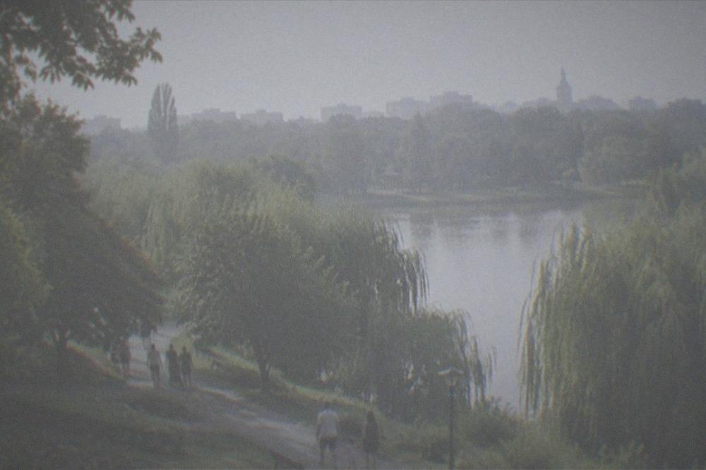 Families walking on a path between trees in a city park