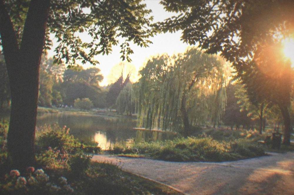 Green park landscape with mature trees and a winding path at golden hour