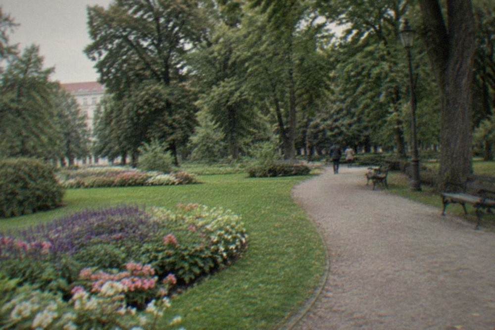 Flowerbeds in bloom beside a curved walkway in a city park