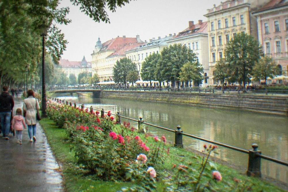 Parents and children walking a shaded path between rose beds and lawns in central Timisoara