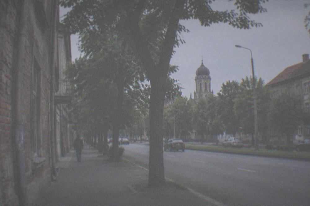 Tree-lined boulevard in Fabric with the synagogue tower visible in the distance