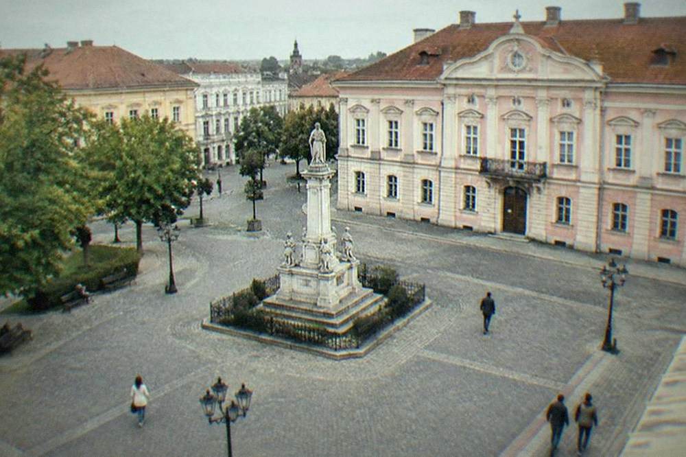 A tree-lined square corner with benches and old European buildings in warm afternoon light