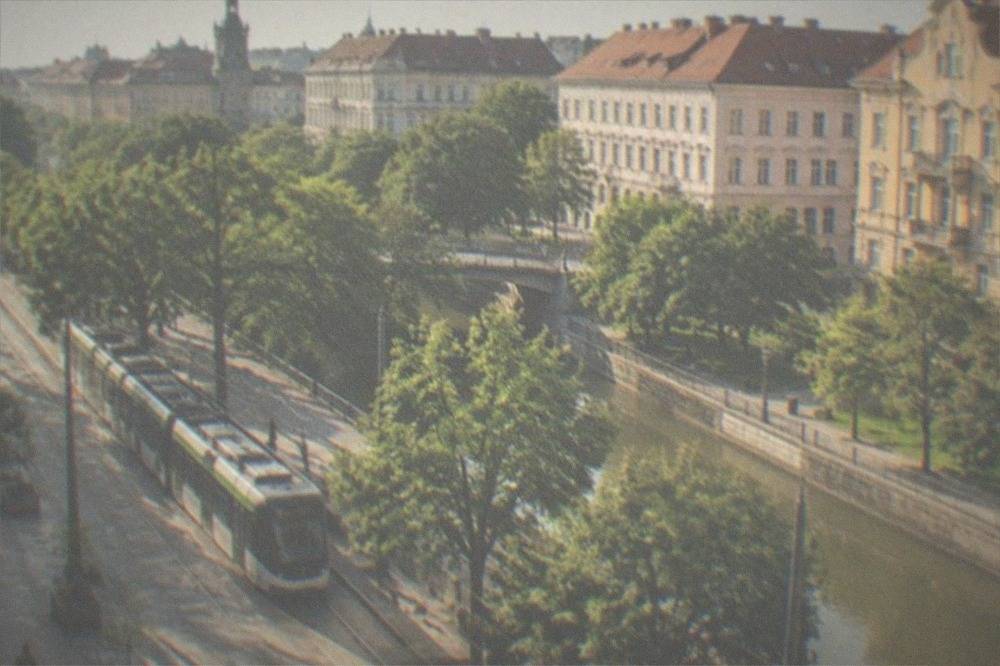 A modern tram passing green park trees on a Timisoara street