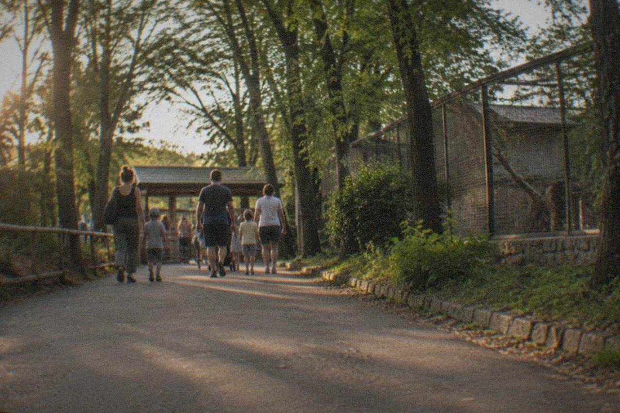 Tree-lined path at a zoo entrance with families walking toward the ticket gate