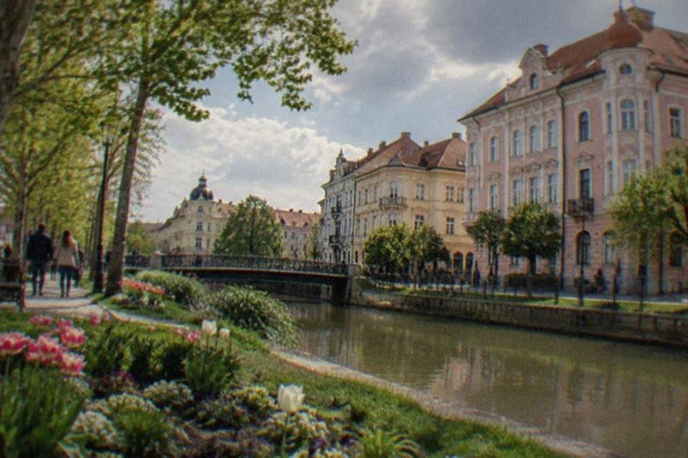 Flower beds and walking paths in a Timisoara park in late spring