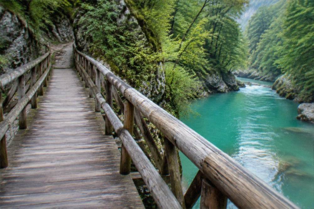 A wooden footbridge over a turquoise river in a forested gorge in the Banat mountains