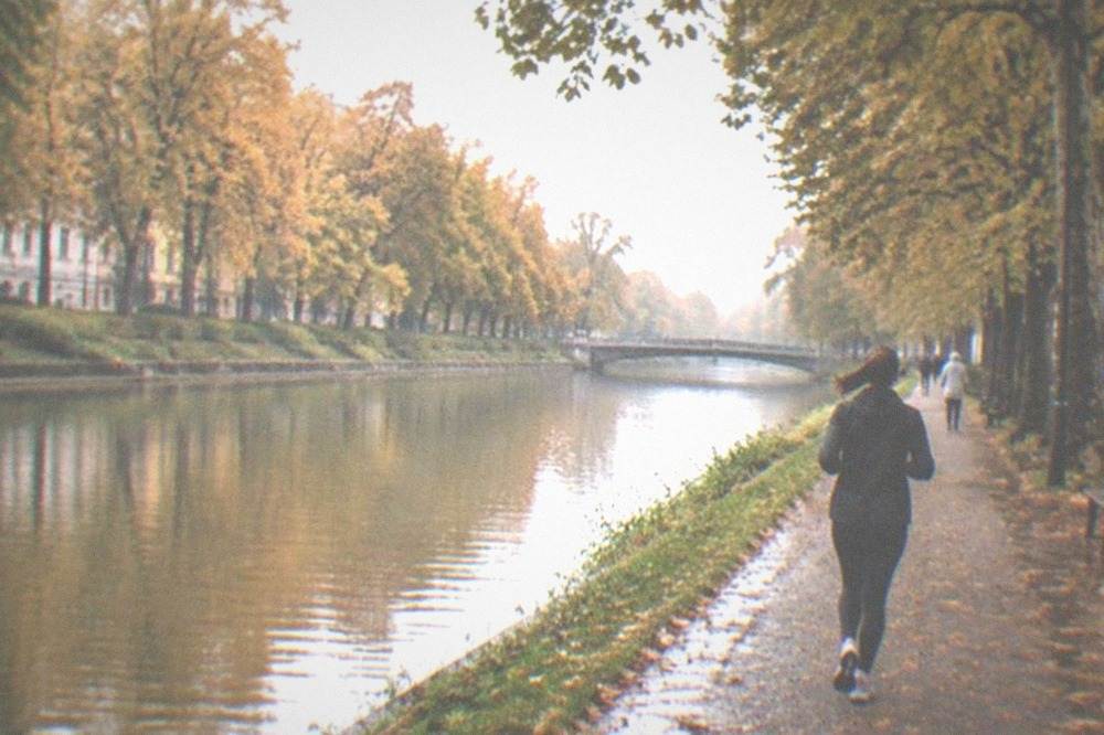 The Bega canal in autumn with golden trees lining the water and a bridge in the distance