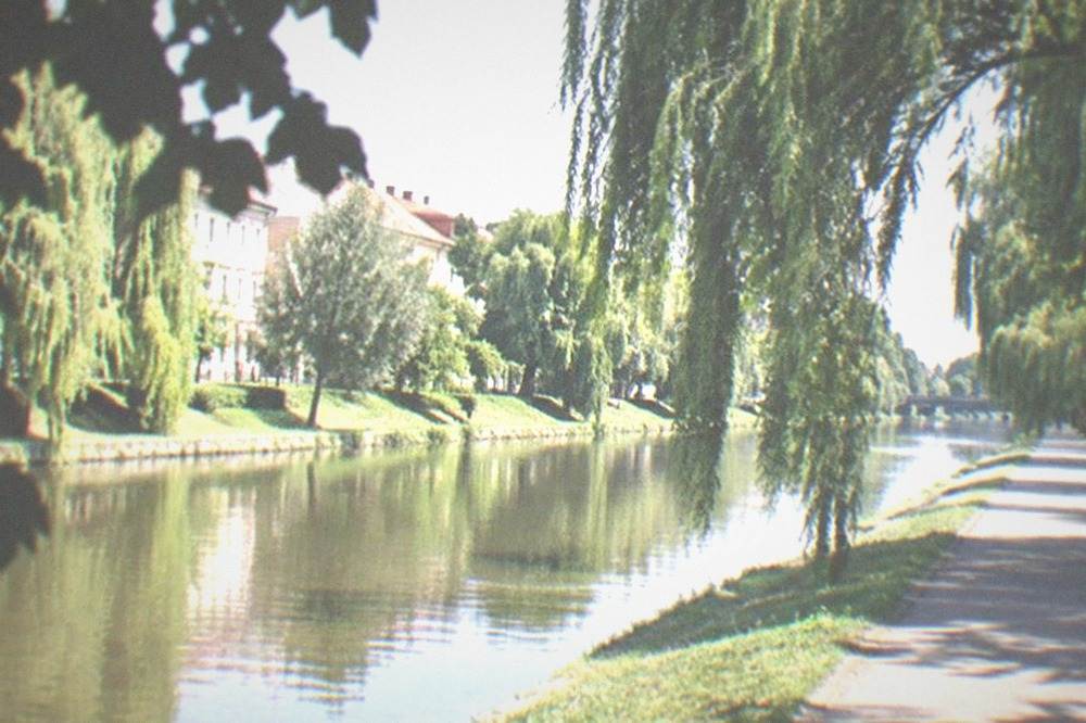 A quiet stretch of the Bega canal in Timisoara with willows overhanging the water and a cyclist on the towpath