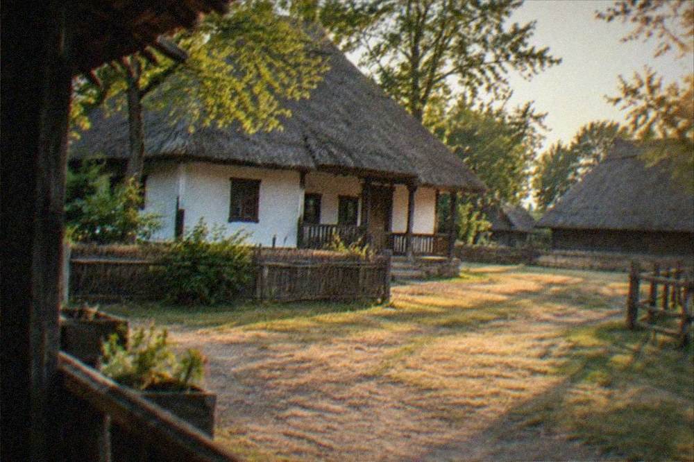 Historic farmhouses at the open-air Banat Village Museum in Timisoara