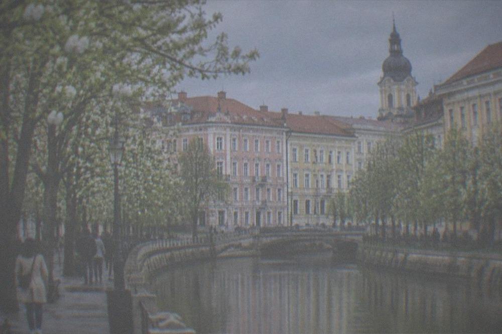 Trees in bloom along a canal-side promenade in Timisoara in spring
