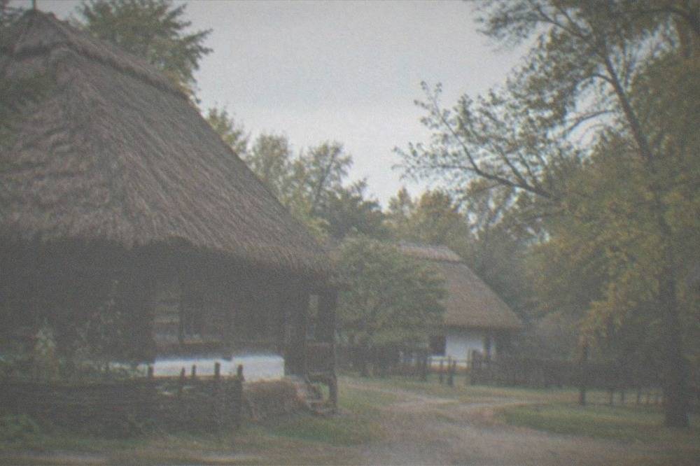 Traditional wooden village houses with thatched roofs in an open-air museum